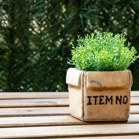 Comfy & Luminous Terrace Daire *