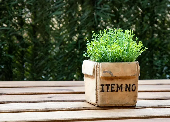 Comfy & Luminous Terrace Lejlighed *